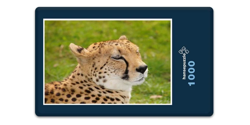 18281 Natur - Leopard Puzzle