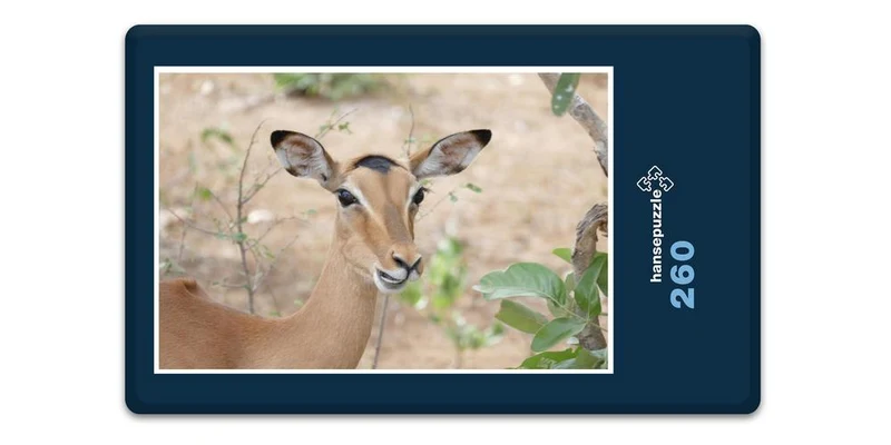 18280 Natur - Impala Puzzle