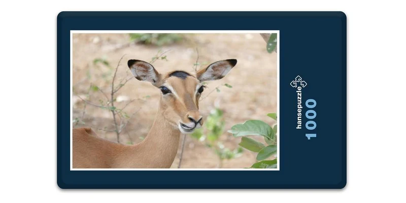 18280 Natur - Impala Puzzle