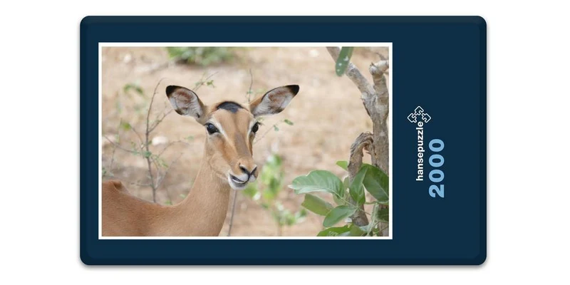 18280 Natur - Impala Puzzle