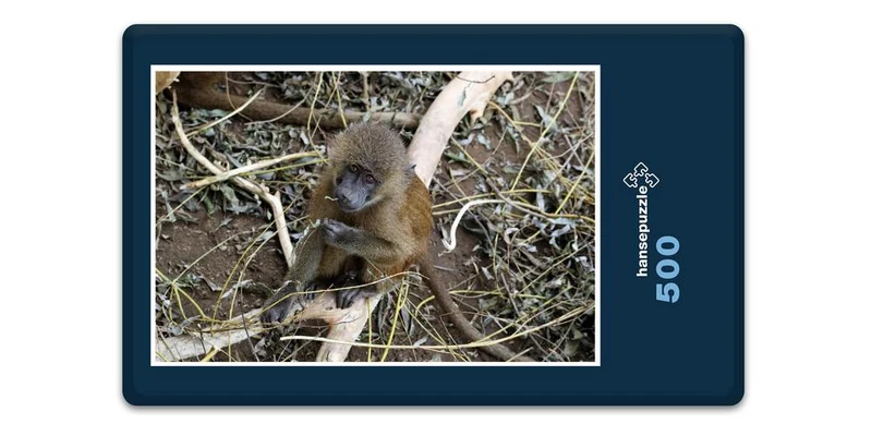 19970 Tierwelt - Baby Pavian Puzzle