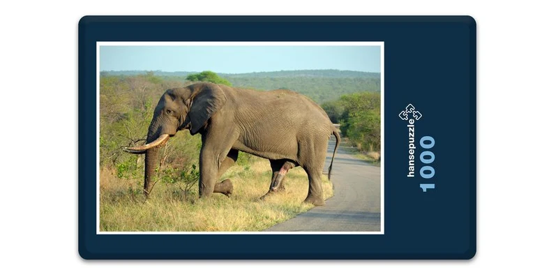 18276 Natur - Elefant Puzzle