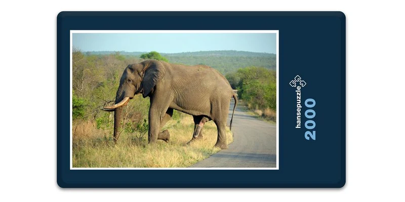 18276 Natur - Elefant Puzzle