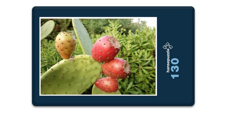 19965 Natur - Kaktus Puzzle