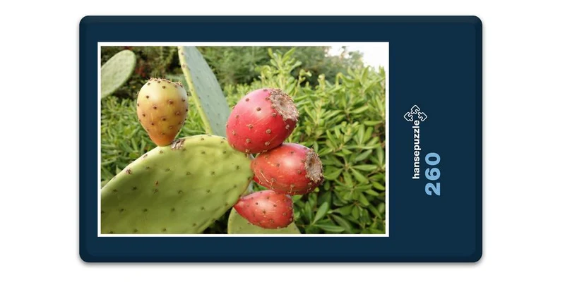19965 Natur - Kaktus Puzzle