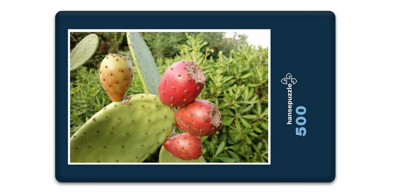 19965 Natur - Kaktus Puzzle
