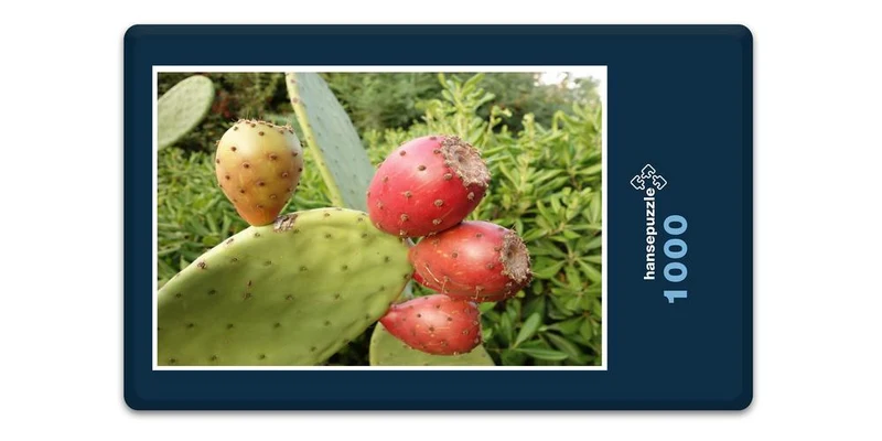 19965 Natur - Kaktus Puzzle