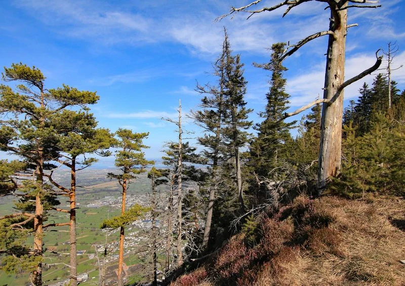 20102 Natur - Berg-Blick Puzzle