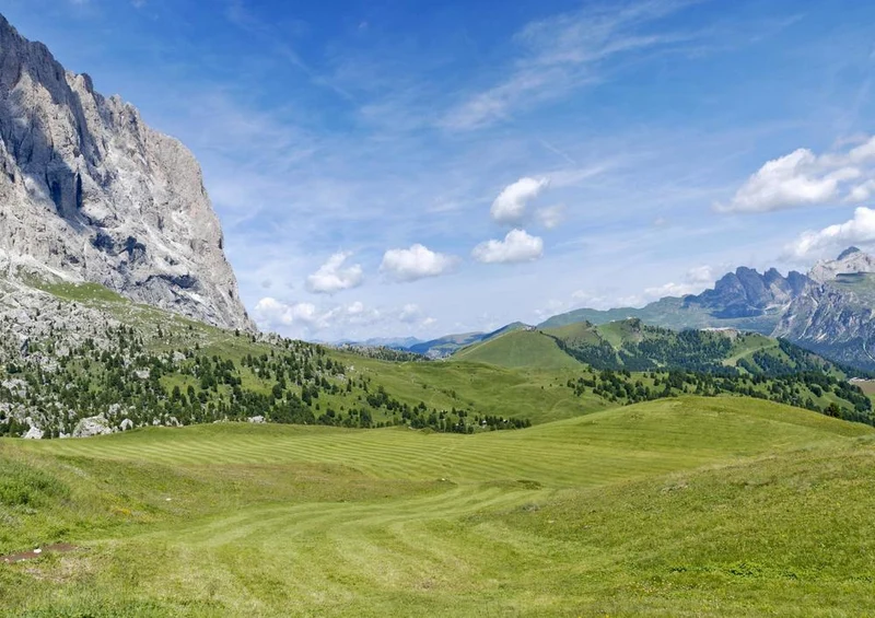 31204 Natur - Landschaft Puzzle