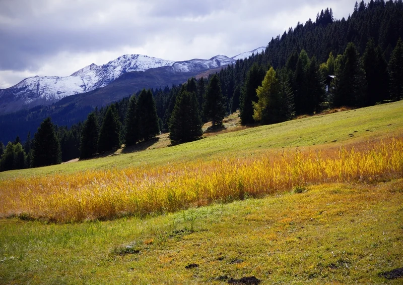39273 Natur - Herbst Puzzle