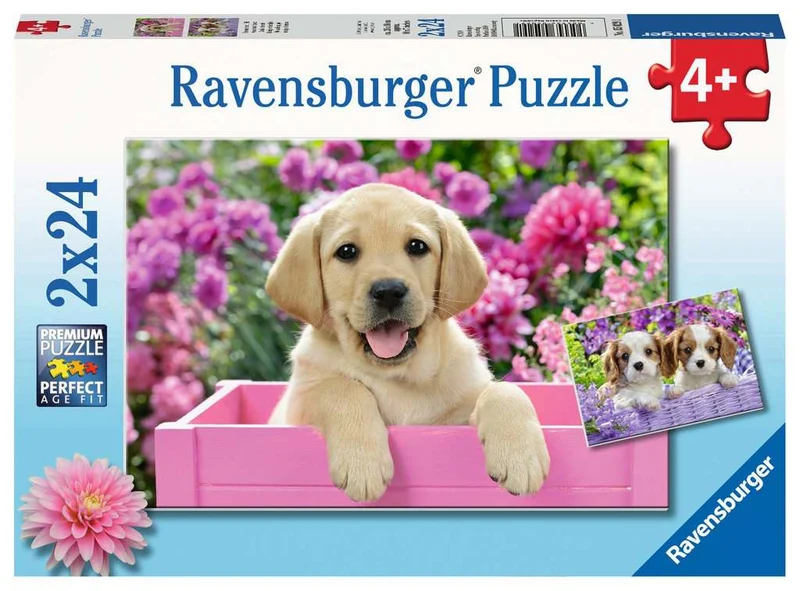 Ravensburger Me and my pal