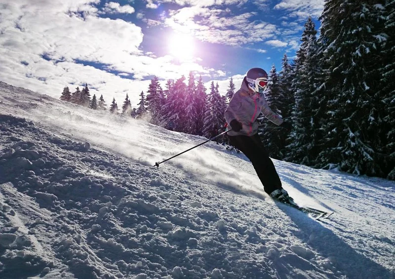 25039 Fortbewegung - Skifahren Puzzle
