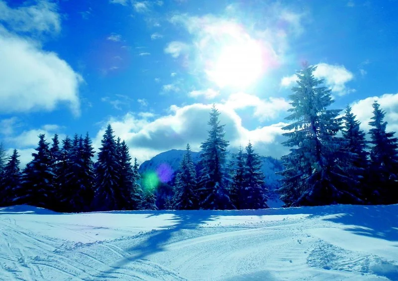 31295 Natur - Ski-Urlaub Puzzle