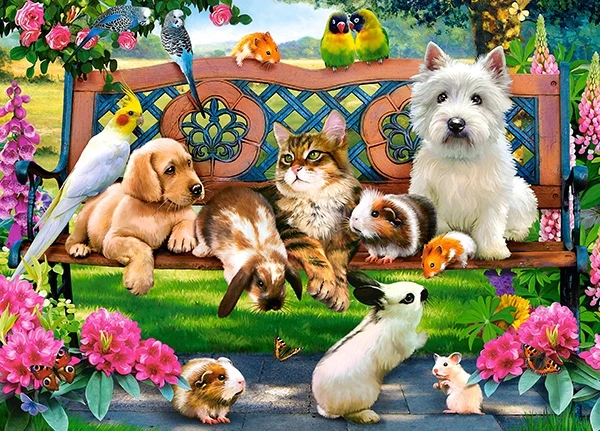 Pets in the Park