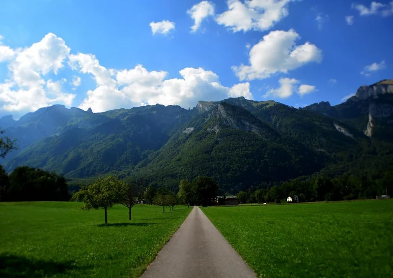 23730 Natur - Feldweg Puzzle