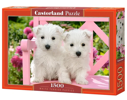 White Terrier Puppies, Greg Cuddiford