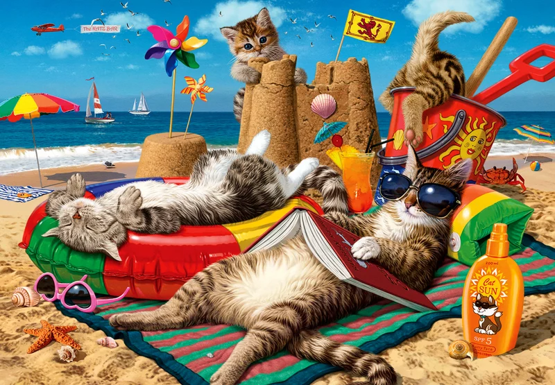 Cats on the Beach, Steve Read