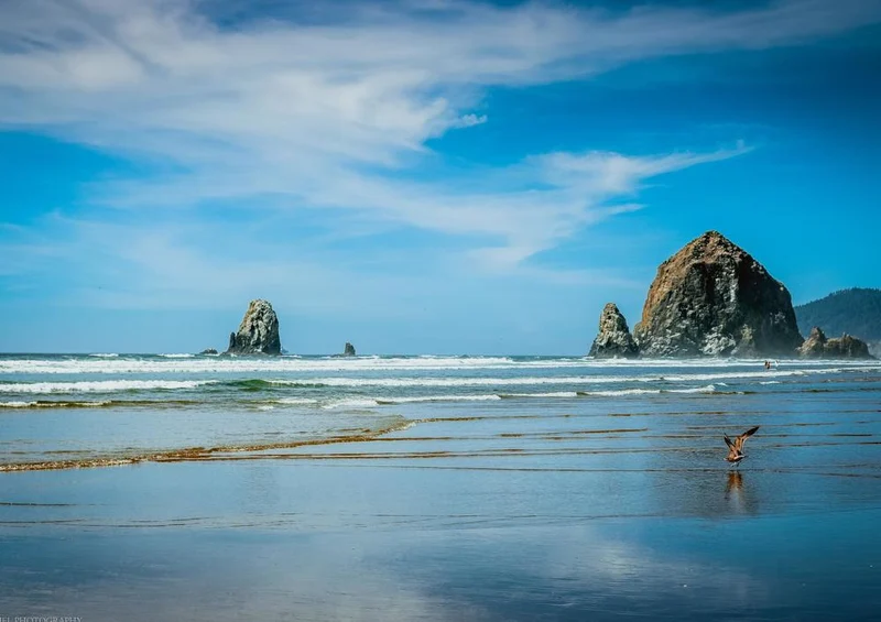 23894 Natur - Oregon Puzzle