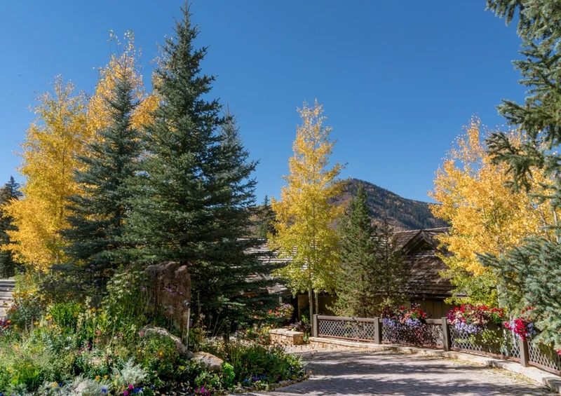 35021 Natur - Colorado Puzzle