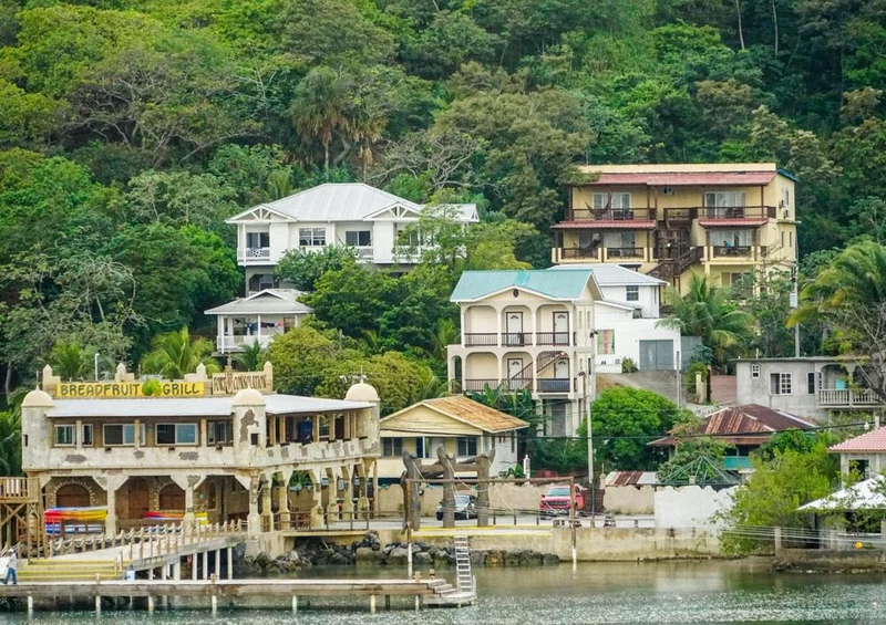 19705 Orte - Roatan Puzzle