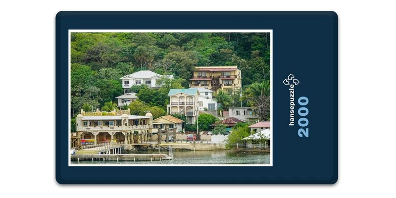 19705 Orte - Roatan Puzzle