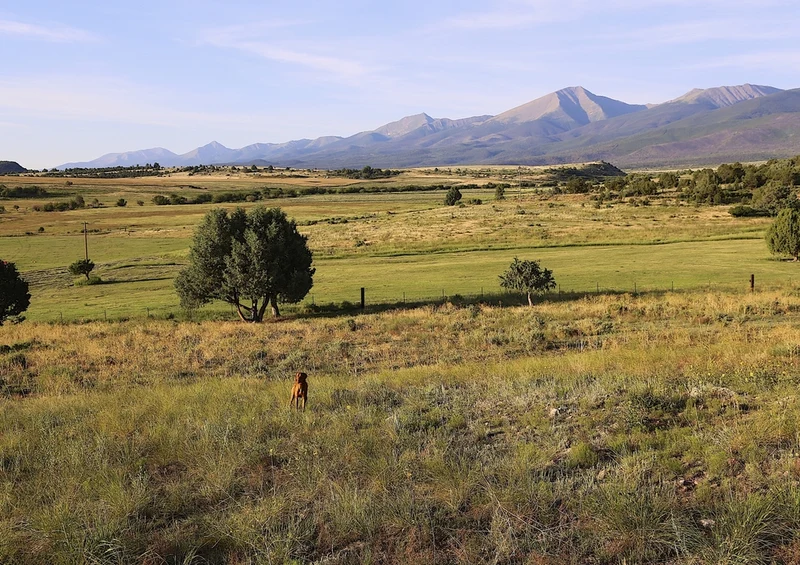 35009 Natur - Colorado Puzzle