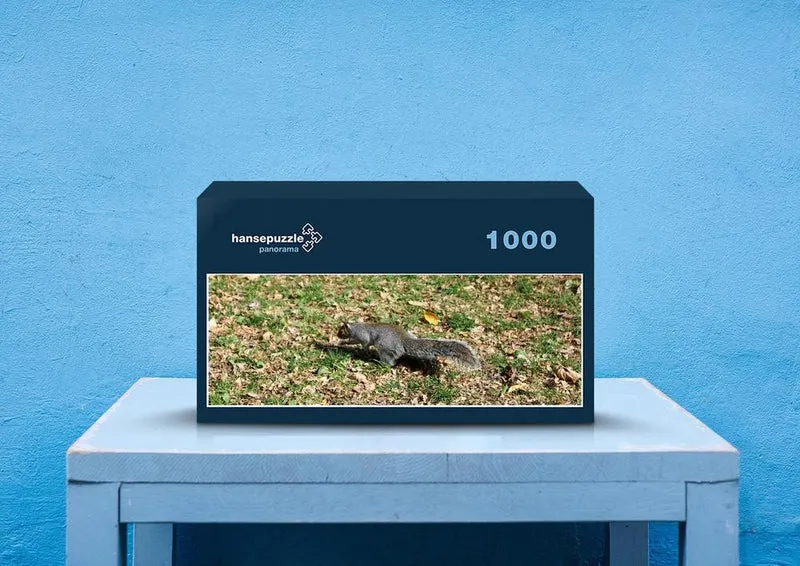 43719 Natur - Eichhörnchen Puzzle