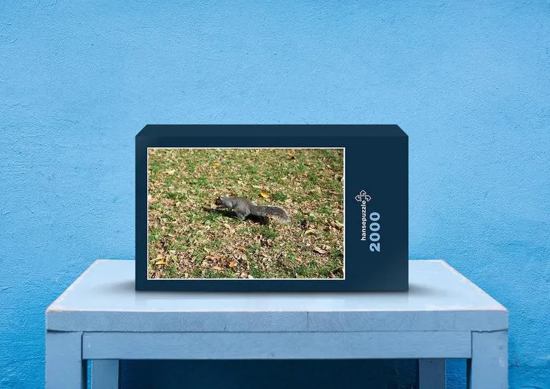 43719 Natur - Eichhörnchen Puzzle
