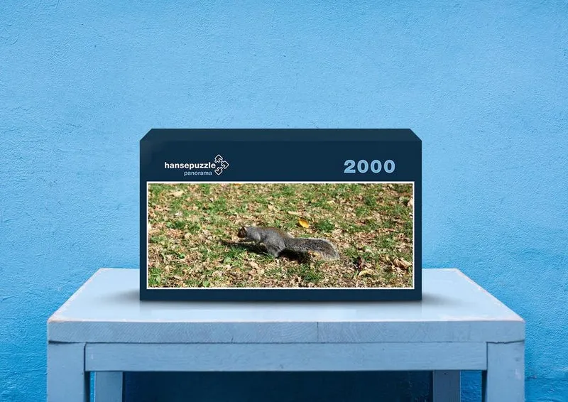 43719 Natur - Eichhörnchen Puzzle