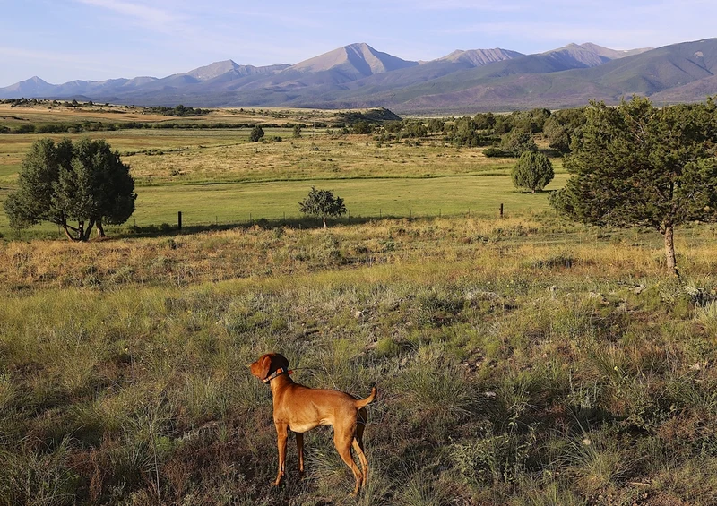 43700 Natur - Colorado Puzzle