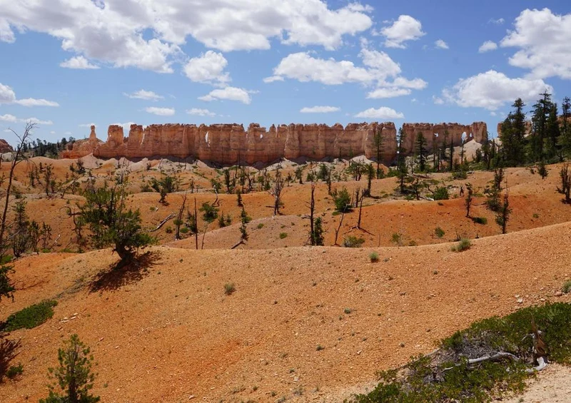 24549 Natur - Bryce Canyon Puzzle