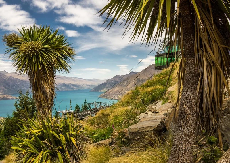 24529 Natur - Neuseeland Puzzle