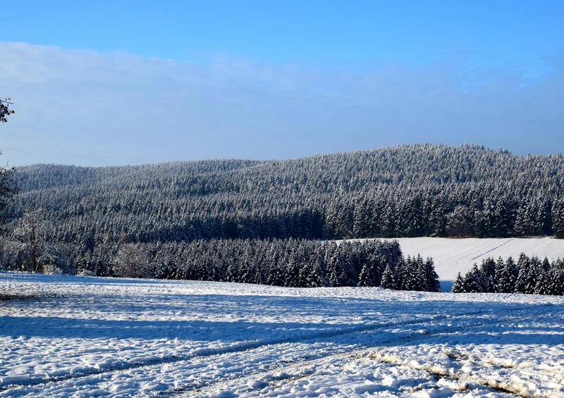 39400 Natur - Neuschnee Puzzle