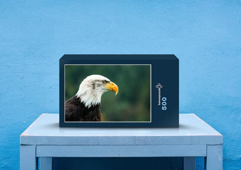 23974 Tierwelt - Weißkopfseeadler Puzzle