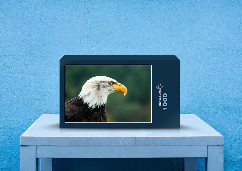 23974 Tierwelt - Weißkopfseeadler Puzzle