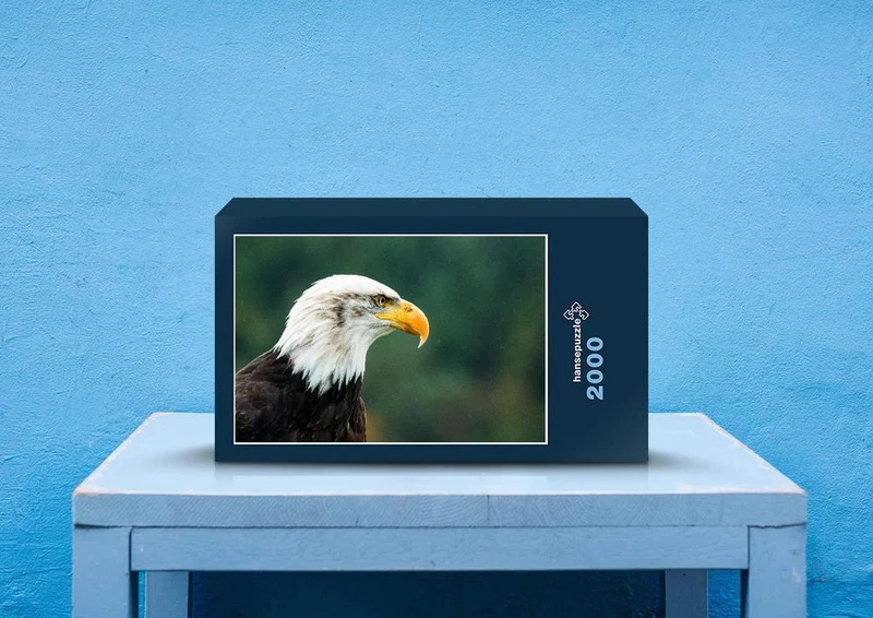 23974 Tierwelt - Weißkopfseeadler Puzzle
