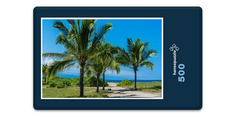 19605 Natur - Palmen am Strand Puzzle