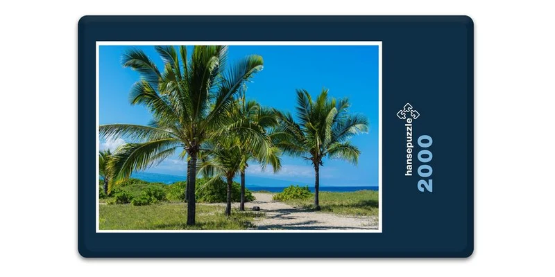 19605 Natur - Palmen am Strand Puzzle