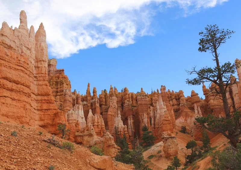 23423 Natur - Bryce Canyon Puzzle