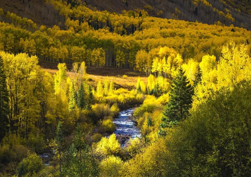 31379 Natur - Colorado Puzzle