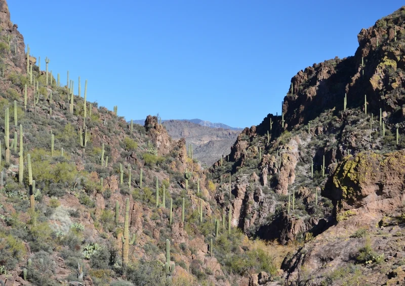 43678 Natur - Arizona Puzzle