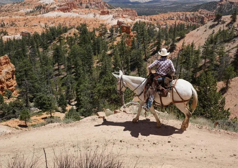 23929 Natur - Bryce Canyon Puzzle