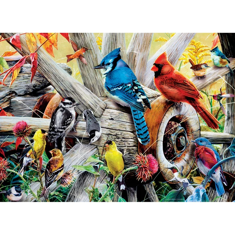 Backyard Birds, Jan Martin McGuire