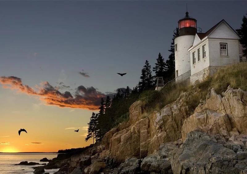 19585 Gebäude - Leuchtturm in Maine Puzzle