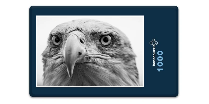 19765 Tierwelt - Alles im Blick Puzzle