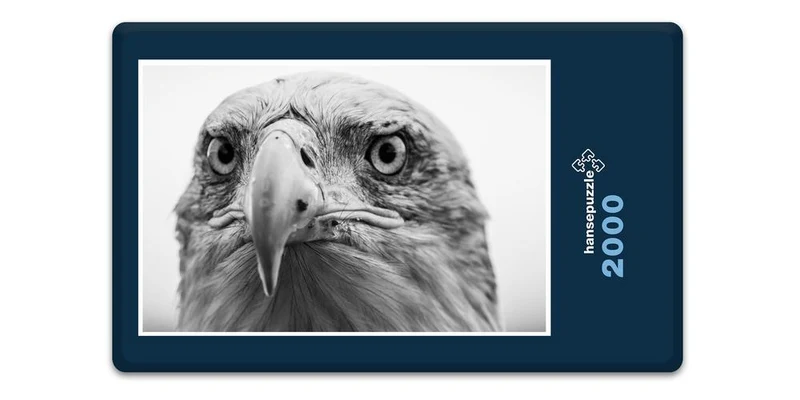 19765 Tierwelt - Alles im Blick Puzzle