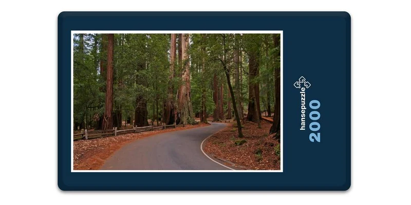 19665 Natur - Nationalpark Puzzle