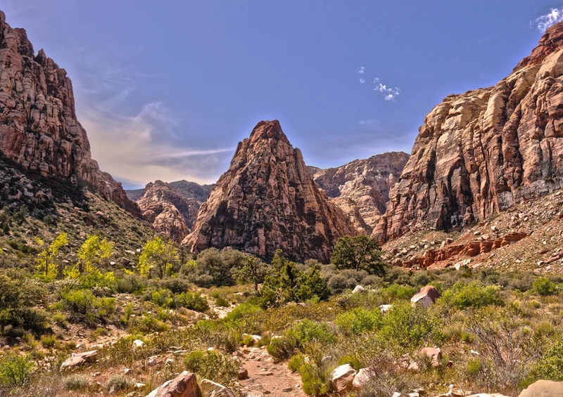 39432 Natur - Nevada Puzzle