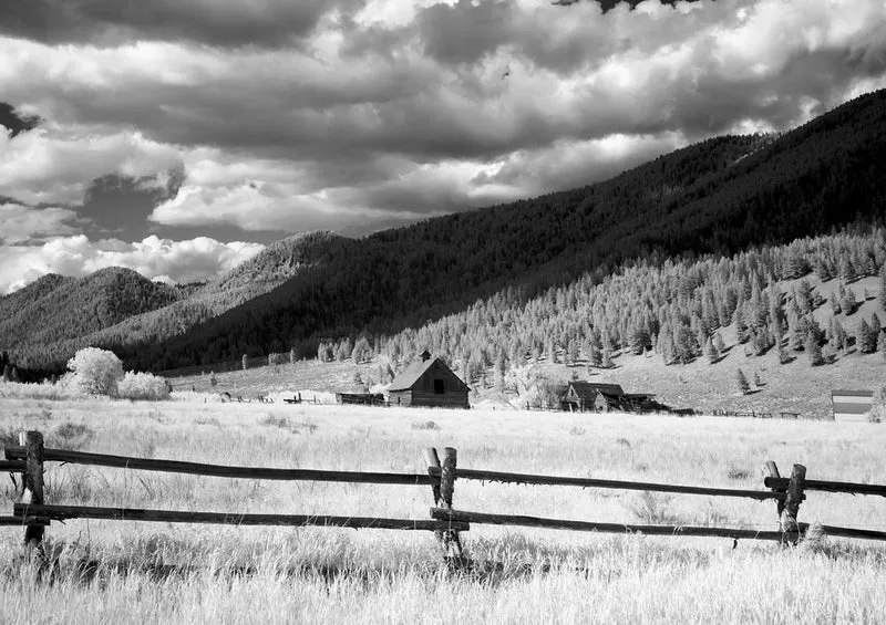 19745 Natur - Wyoming Puzzle