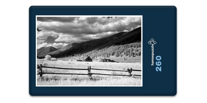 19745 Natur - Wyoming Puzzle